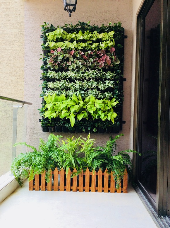 Projects Balcony Garden, Vertical, Terrace, Landscape Garden Treemendous