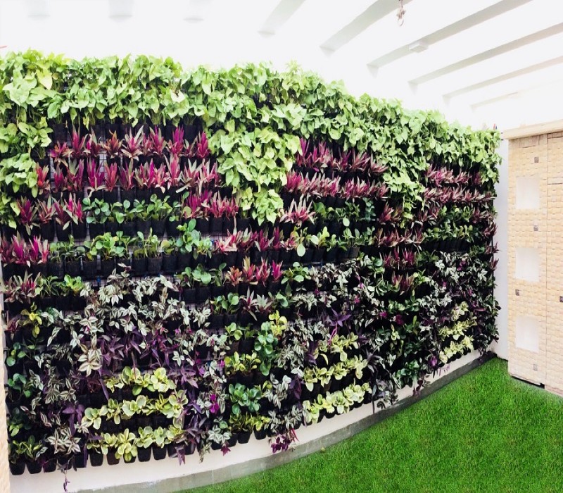 Balcony Garden Services Bangalore Landscaping Design Treemendous