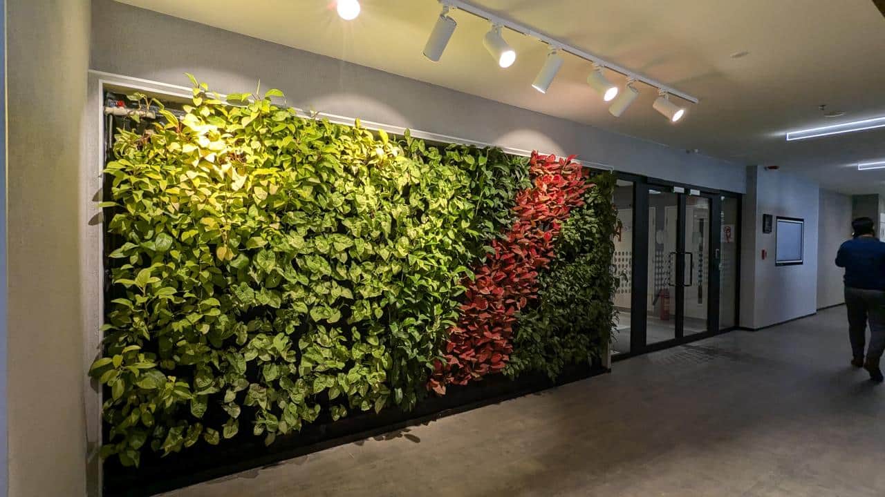 Vertical Garden service for corporate