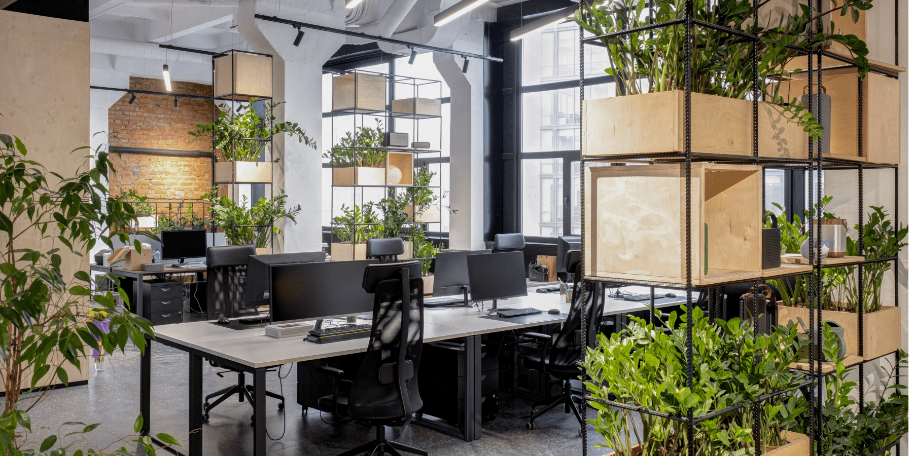 Plant for offices -treemendous