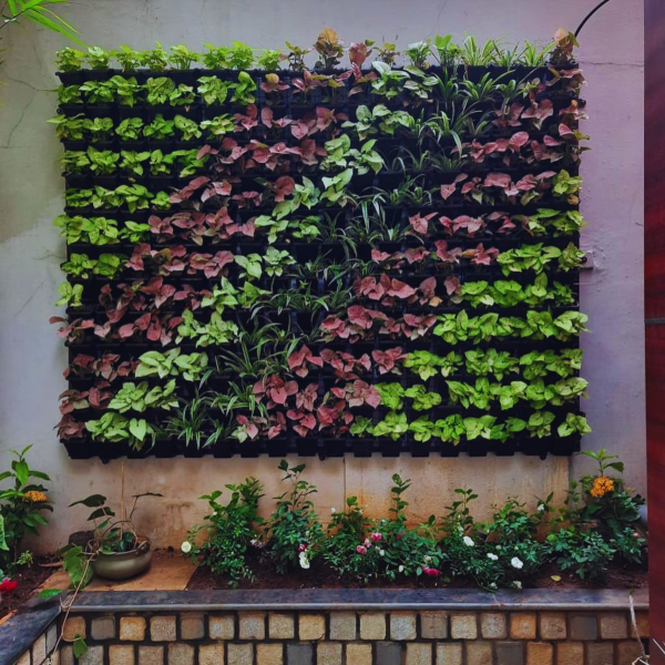 treemendous plant pvt ltd- VERTICAL GARDEN SERVICE-1