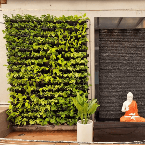 treemendous plant pvt ltd- VERTICAL GARDEN SERVICE-2