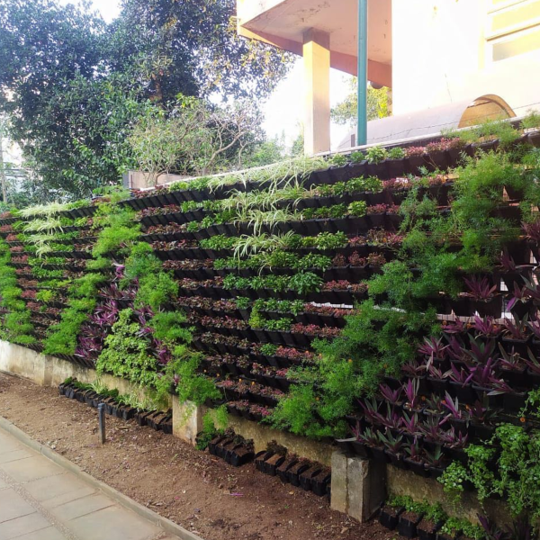 treemendous plant pvt ltd- VERTICAL GARDEN SERVICE-4