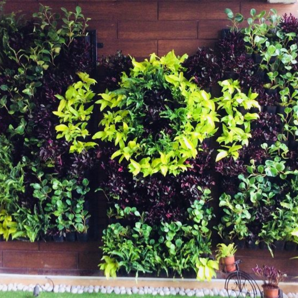 treemendous plant pvt ltd- VERTICAL GARDEN SERVICE-8 (1)