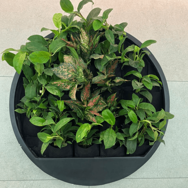 treemendous plant pvt ltd- plant at work 1