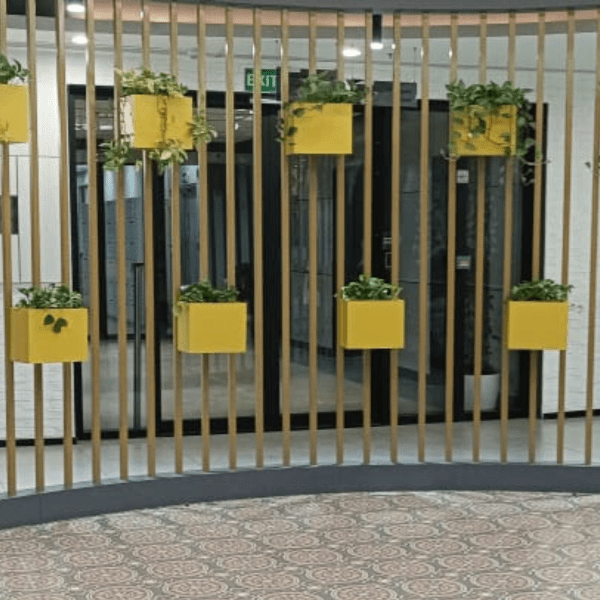 treemendous plant pvt ltd- plant at work 5