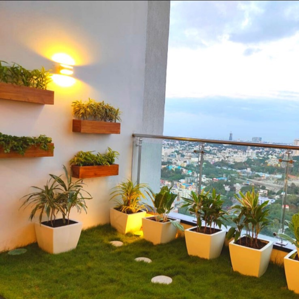 treemendous plant pvt ltd- plant for offices 10