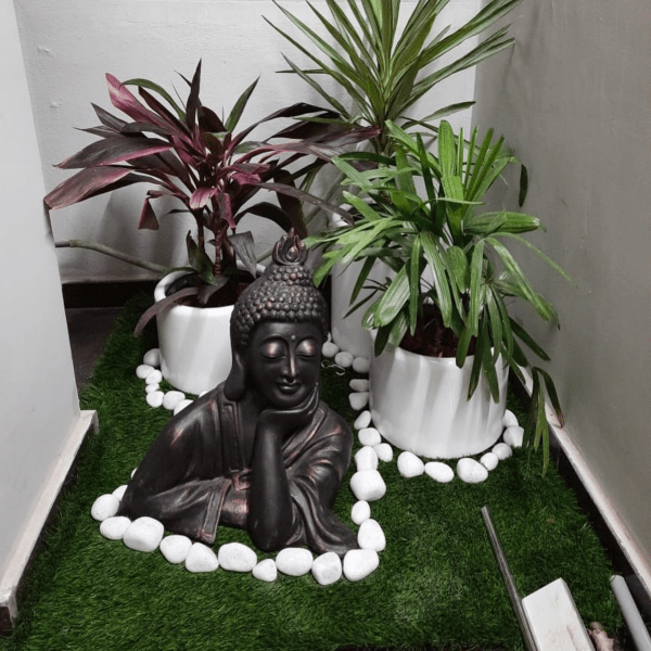 treemendous plant pvt ltd- plant for offices 16