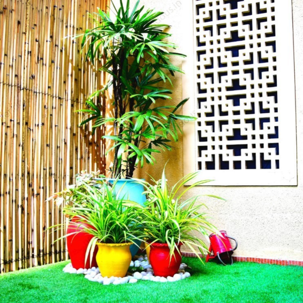 treemendous plant pvt ltd- plant for offices 9