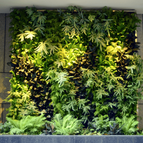 vertical garden (1)