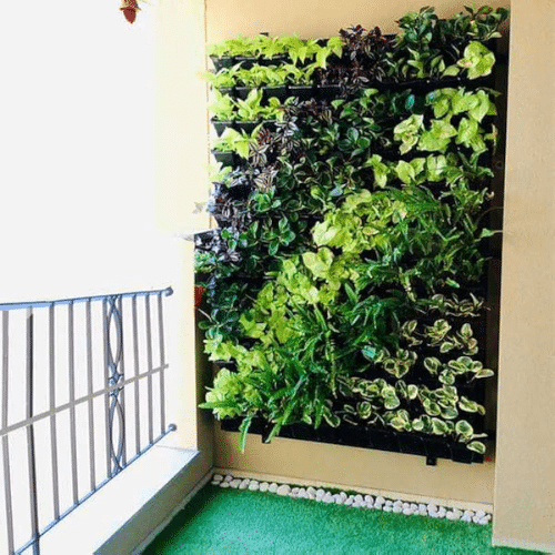 vertical garden (2)