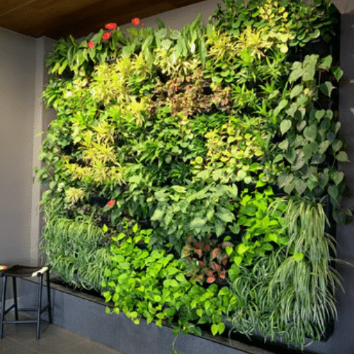 vertical garden (4)