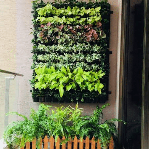 vertical garden (5)
