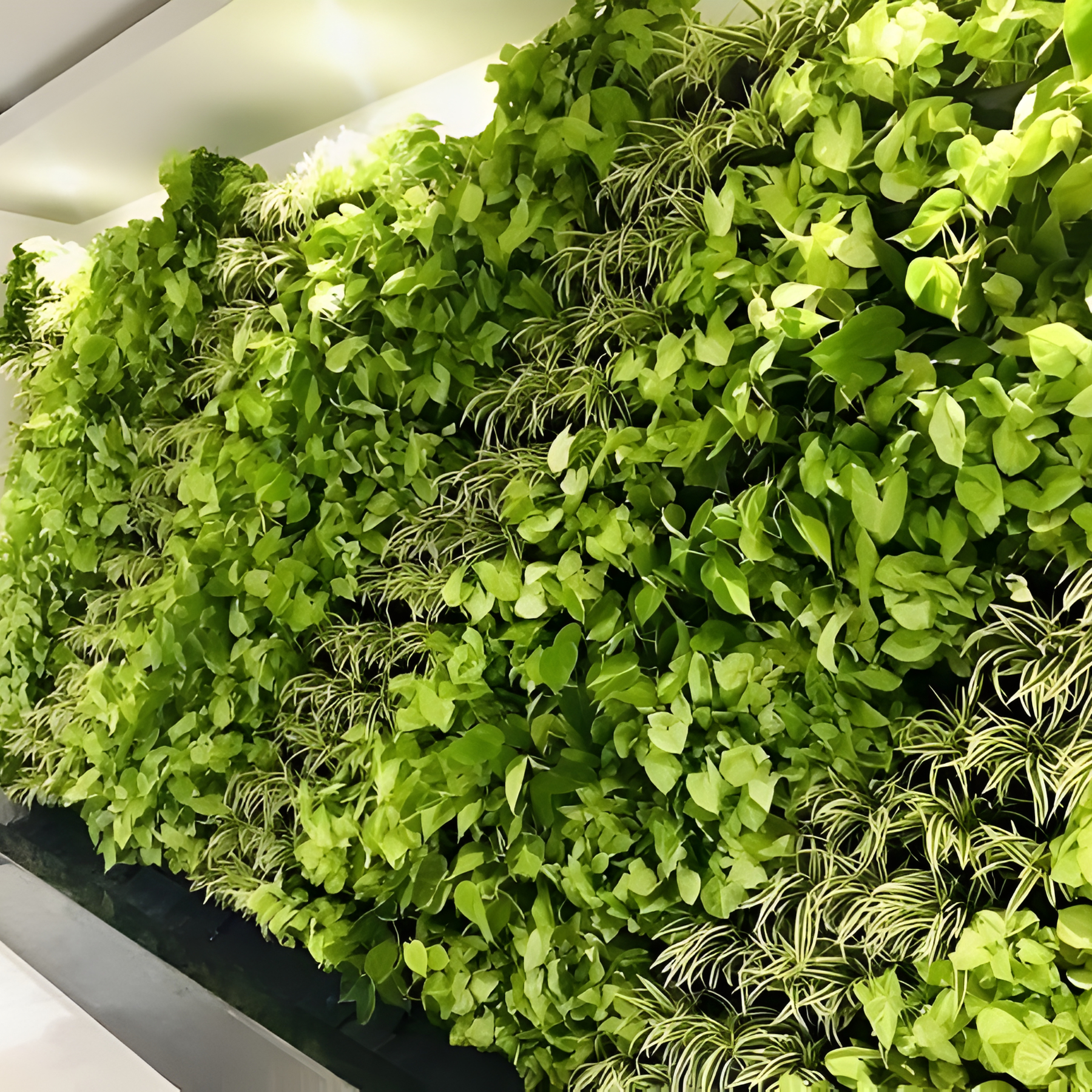 Vertical garden service near me
